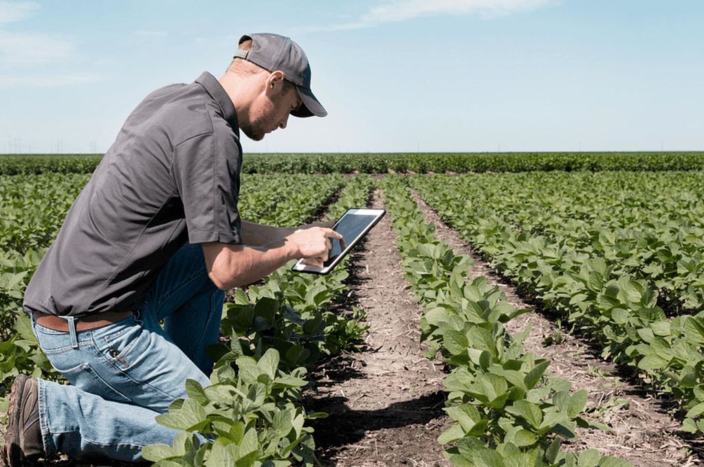 JOVEM agricultor